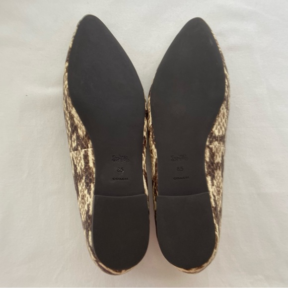 Coach Annabel Snakeskin Pointed Toe Ballet Flats - Picture 13 of 16